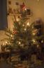 Der Onelove-Weihnachtsbaum 2006