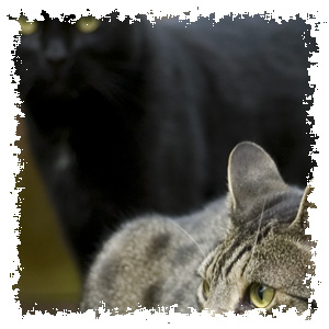 Struer und Mattis
