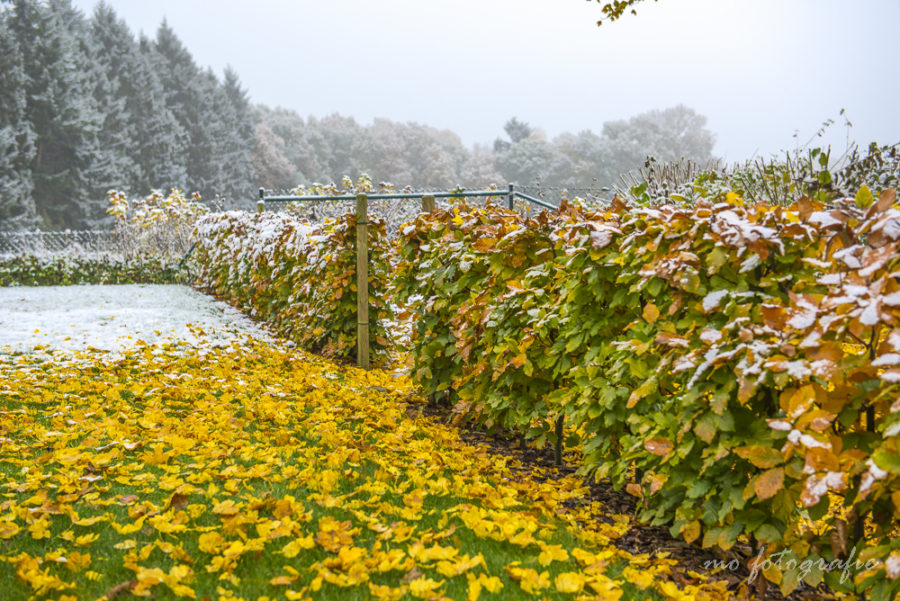 Herbstwinter